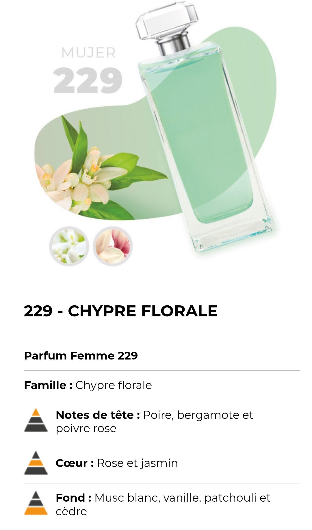 229 ( inspirée de idole )