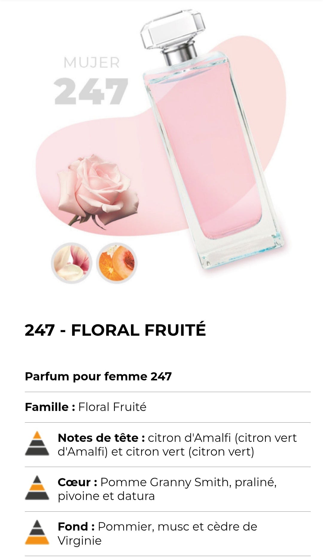 247 ( inspirée de nina )